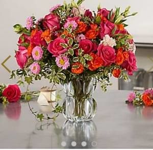 Meet your Posher, Vilma julio